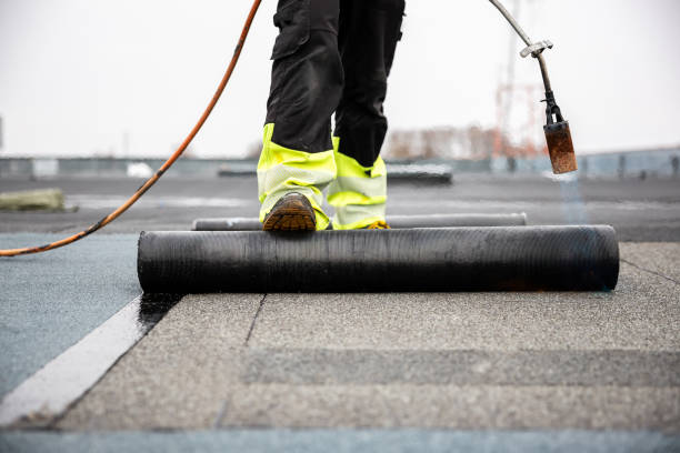 Roof Moss and Algae Removal in Delaware, OH