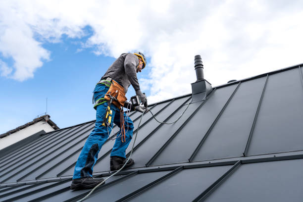 Best Roof Maintenance and Cleaning  in Delaware, OH